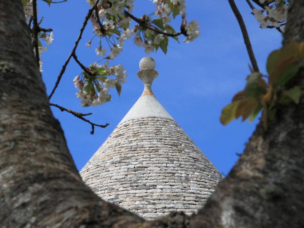 Pietraluce Guest House Alberobello Exterior photo