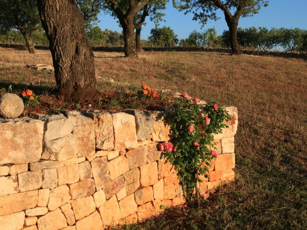 Pietraluce Guest House Alberobello Exterior photo